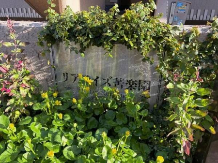 �Ԏ��}�@-